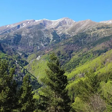 F2 Classe 3 Etoiles Vue Montagne, Exterieur Clos Arles-sur-Tech Exterior foto