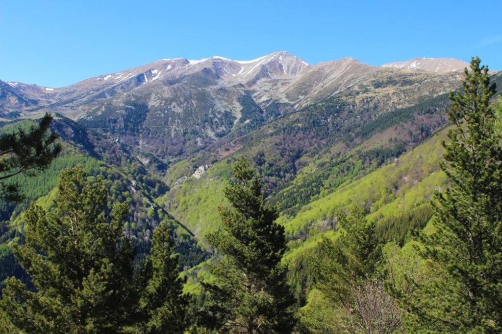 F2 Classe 3 Etoiles Vue Montagne, Exterieur Clos Apartment Arles-sur-Tech