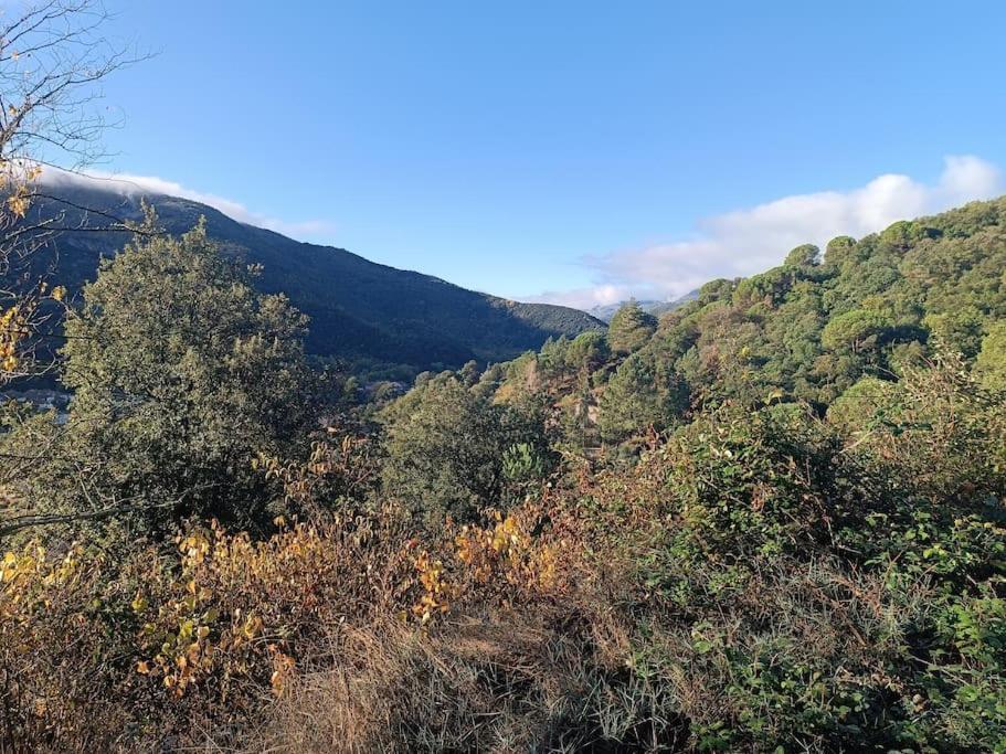 Apartment F2 Classe 3 Etoiles Vue Montagne, Exterieur Clos *